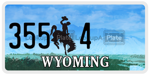 3554  license plate in WY
