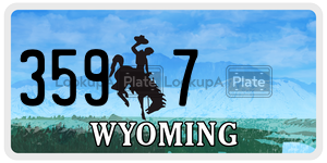 3597  license plate in WY