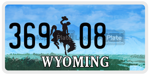 36908  license plate in WY