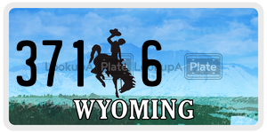 3716  license plate in WY