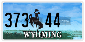 37344  license plate in WY