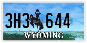 3H3644  license plate in WY