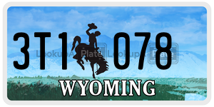 3T1078  license plate in WY