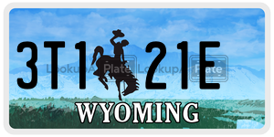 3T121E  license plate in WY