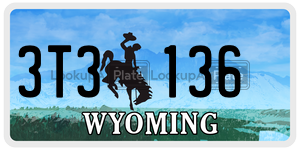 3T3136  license plate in WY