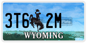 3T62M  license plate in WY