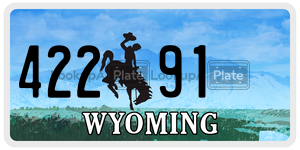 42291 license plate in Wyoming