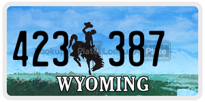423387 license plate in Wyoming