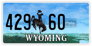 42960  license plate in WY