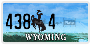 4384  license plate in WY
