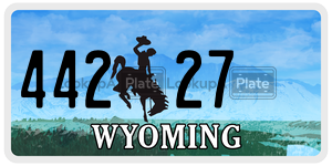 44227  license plate in WY