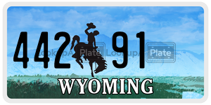 44291 license plate in Wyoming