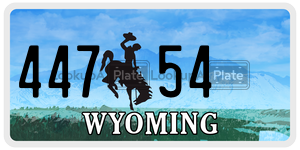 44754  license plate in WY