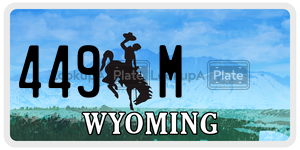 449M  license plate in WY
