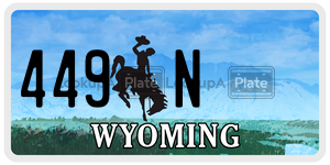 449N  license plate in WY