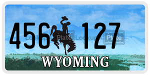 456127 license plate in Wyoming