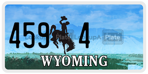 4594  license plate in WY