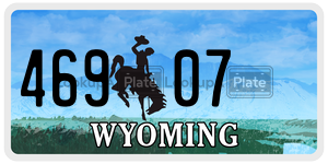 46907  license plate in WY