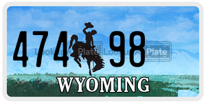 47498  license plate in WY
