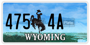 4754A  license plate in WY