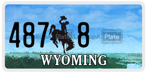 4878  license plate in WY