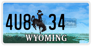 4U834  license plate in WY