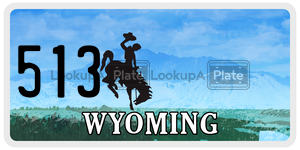 513  license plate in WY