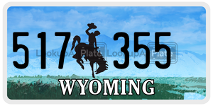517355  license plate in WY