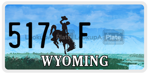 517F  license plate in WY