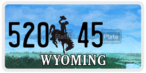 52045  license plate in WY