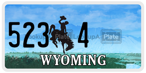 5234 license plate in Wyoming