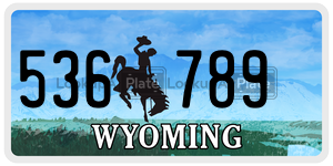 536789 license plate in Wyoming