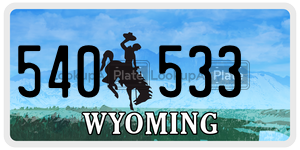 540533  license plate in WY