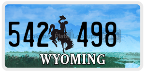542498 license plate in Wyoming