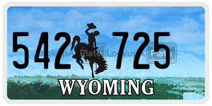 542725  license plate in WY