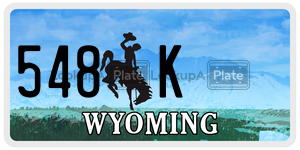 548K  license plate in WY