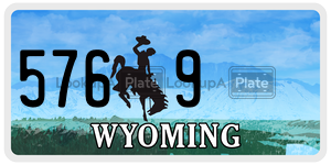 5769  license plate in WY