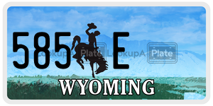 585E  license plate in WY