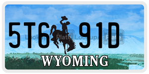 5T691D  license plate in WY