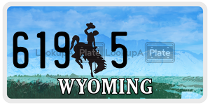 6195  license plate in WY
