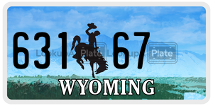 63167  license plate in WY