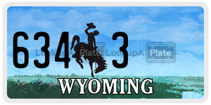 6343  license plate in WY
