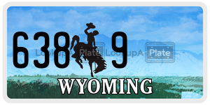 6389  license plate in WY