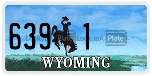 6391  license plate in WY
