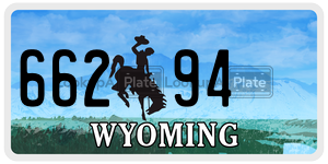 66294  license plate in WY
