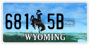 6815B  license plate in WY