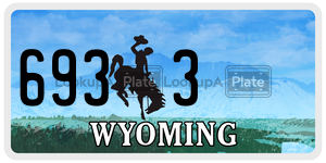 6933 license plate in Wyoming