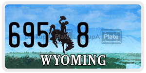 6958  license plate in WY