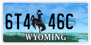 6T446C  license plate in WY