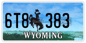 6T8383  license plate in WY
